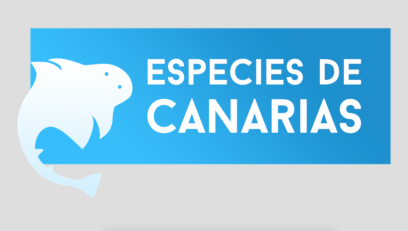 Especies de Canarias